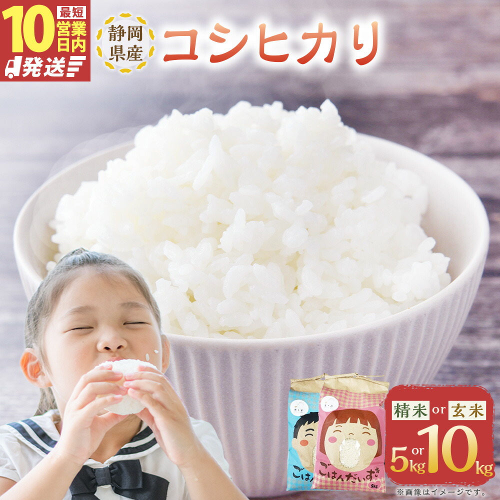 【ふるさと納税】【10営業日発送】【令和7年産】静岡県産 コシヒカリ 精米・玄米 5kg（5kg&times;1袋）・10kg（5kg&times;2袋）＜選べる種類・内容量＞ お米 米 単一原料米 ご飯 お弁当 おにぎり 国産 静岡県 菊川市 送料無料 【2026年8月下旬迄順次発送予定】｜静岡県菊川市