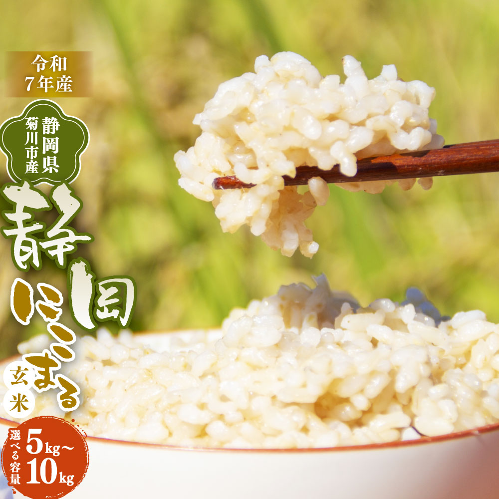 【ふるさと納税】先行予約 ＜選べる発送時期・内容量＞【令和7年産】菊川市産 静岡にこまる 玄米 5kg 10kg 米 お米 単一原料米 5キロ 10キロ おにぎり お弁当 静岡県産 国産 静岡県 菊川市 送料無料 【2025年11月上旬～2026年3月下旬発送予定】