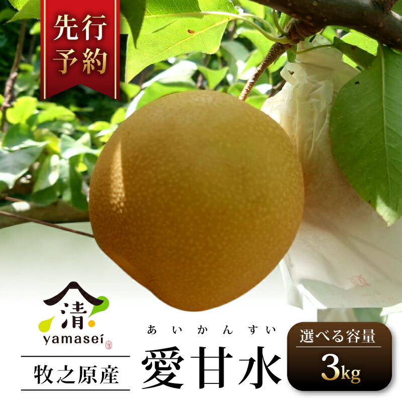 【ふるさと納税】 梨 愛甘水 3kg 予約受付 7月中旬より順次発送  フルーツ なし あいかんすい 果物 安心 おいしい 国産 山清 yamasei 静岡県 牧之原市