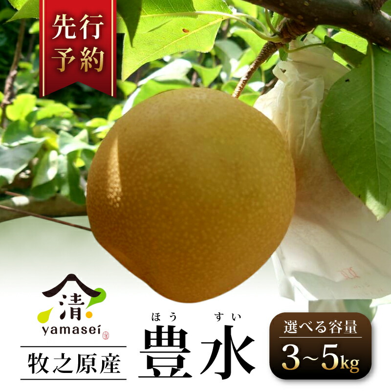 【ふるさと納税】 梨 豊水 3kg 5kg 選べる容量 予約受付 8月中旬より順次発送 フルーツ なし ほうすい 果物 安心 おいしい 国産 山清 yamasei 静岡県 牧之原市