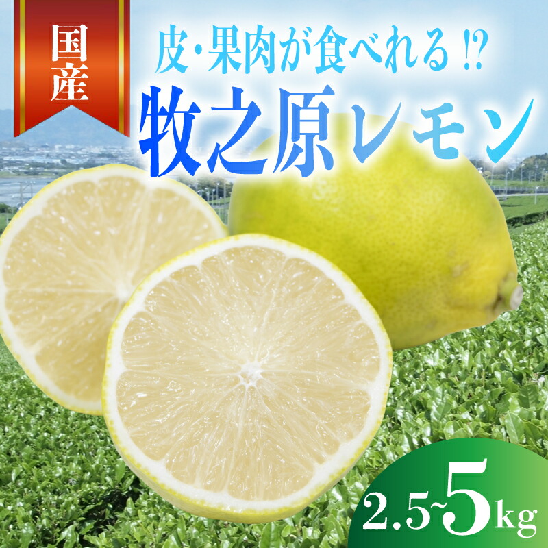 【ふるさと納税】 事前受付 レモン 2.5～5kg 選べる 内容量 国産 れもん 檸檬 Lemon 柑橘類 柑橘 フルーツ 果物 酸っぱい 果肉 酸味 甘み 璃の香 防腐剤不使用 牧之原レモン 静岡県 牧之原市