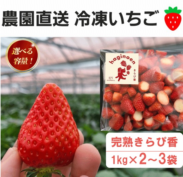【ふるさと納税】 冷凍 いちご きらぴ香 完熟 2kg 3kg 選べる 容量 イチゴ 苺 果物 スイーツ デザート アイス 氷菓 ギフト 贈答 用 萩埜園 牧之原 市 静岡県画像