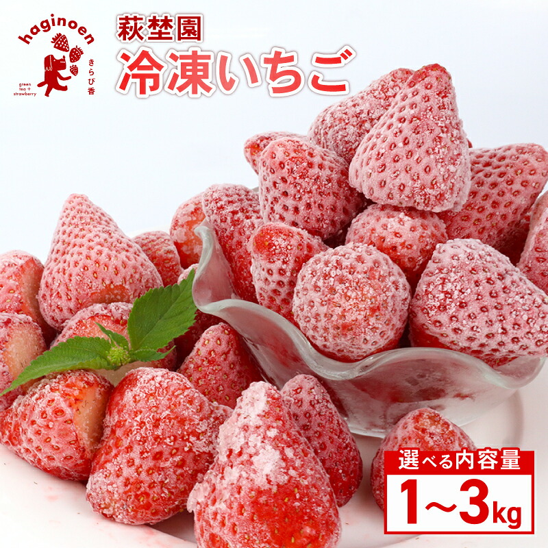 【ふるさと納税】 冷凍 いちご 1kg ～ 3kg 選べる 容量 期間限定 苺 完熟 きらぴ香 冷凍いちご きらぴか 果物 冷凍食品 スイーツ イチゴ ストロベリー フルーツ アイス ジャム シャーベット 人気 国産 新鮮 農家直送 萩埜園 デザート ギフト プレゼント 牧之原市 静岡県
