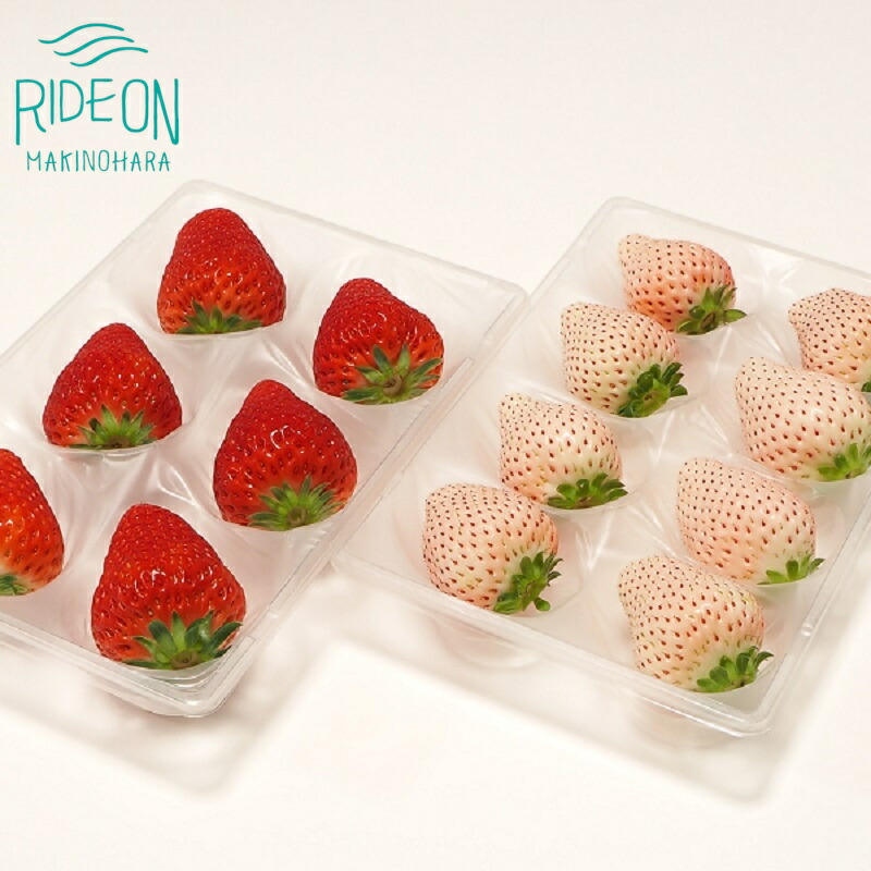 苺⑤白❿さくちゃんさん専用 100c81b11f6ad8cde77efe23619da8