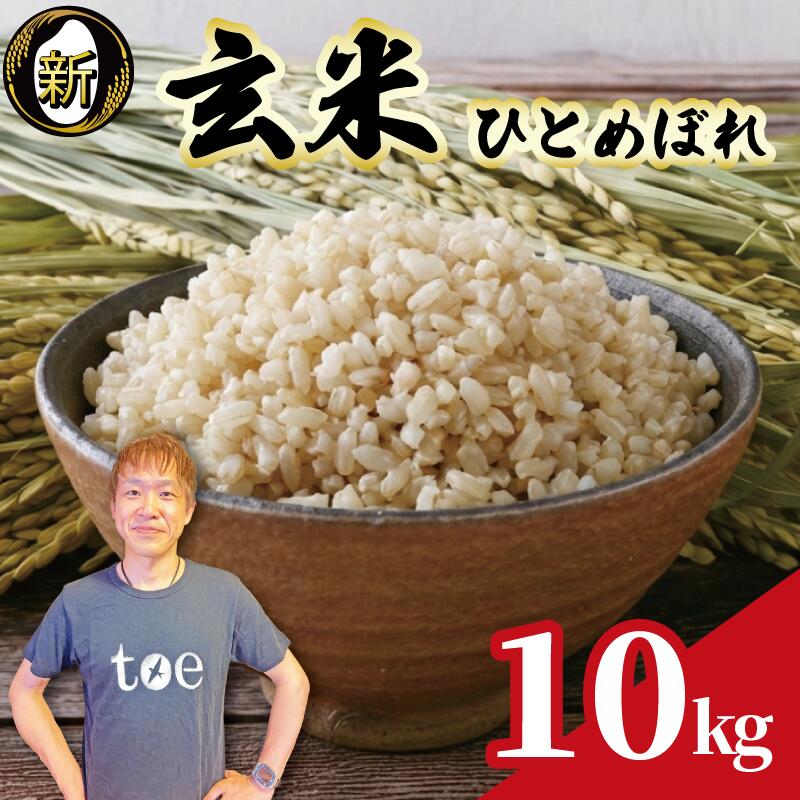 【ふるさと納税】 令和8年度産 玄米 ひとめぼれ 10kg 予約受付 9月中旬より順次発送 数量限定 期間限定 2026年度産 お米 新米 ご飯 ごはん お弁当 食品 プレゼント 日常 家庭用 げんまい 食品 日用品 農家直送 産地直送 新鮮 新米 国産 安心 安全 edama 静岡県 牧之原市｜静岡県牧之原市
