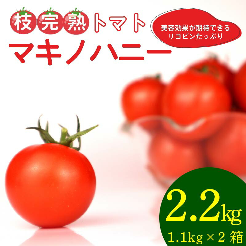 【ふるさと納税】 026-1　枝完熟マキノハニー /トマトップ/ 高リコピン /うまみ