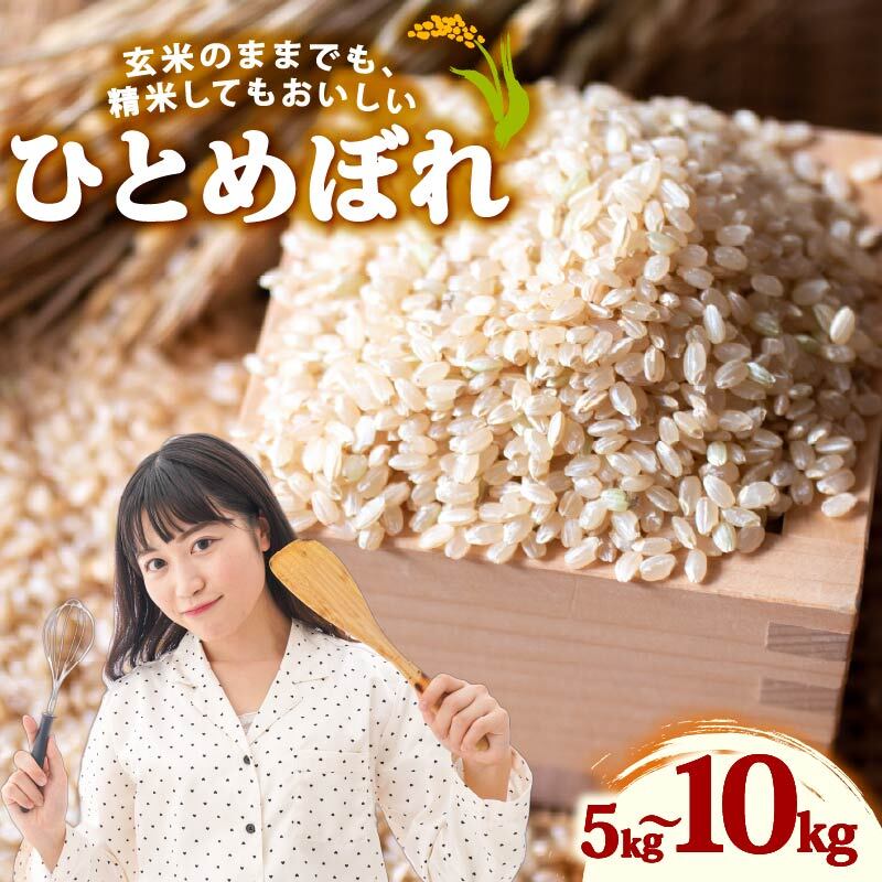 【ふるさと納税】 米 ひとめぼれ 新米 玄米 5～10kg お米 健康 ダイエット 米 日常 食卓 家庭用 ヒトメボレ 静岡県 牧之原市 もちもち あまい 食物繊維 ごはん 国産