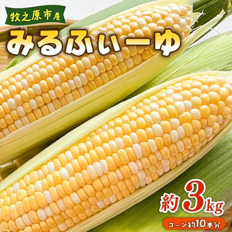 【ふるさと納税】 とうもろこし ミルフィーユ 10本   3kg  糖度 コーン 甘い 美味しい 野菜 バーベキュー 産地直送 バイカラー 新鮮 生鮮 食品 大石農園 おいし~農園 静岡県 牧之原市