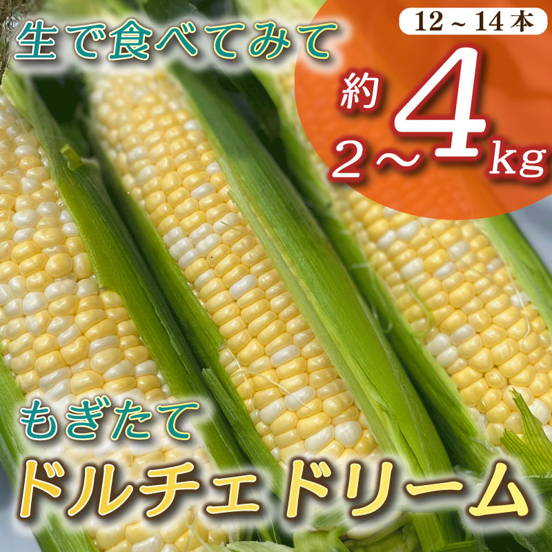 【ふるさと納税】 【6～7月発送】 とうもろこし もぎたて ドルチェドリーム 約 2～4kg 6本～14本 トウモロコシ コーン 甘い 新鮮 茹でとうもろこし 焼きとうもろこし スープ 野菜 やさい バーベキュー BBQ 産地直送 生鮮食品 夏野菜 ギフト 贈り物 おいしい 牧之原市 静岡県