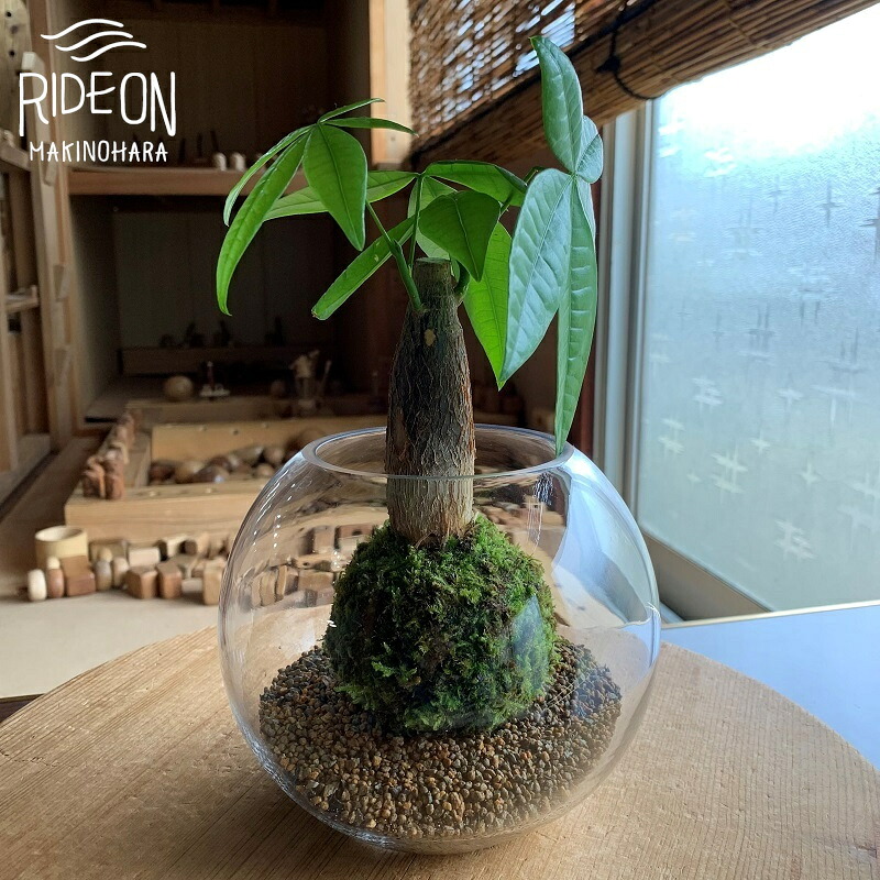 ありがとうを贈る 父の日特集