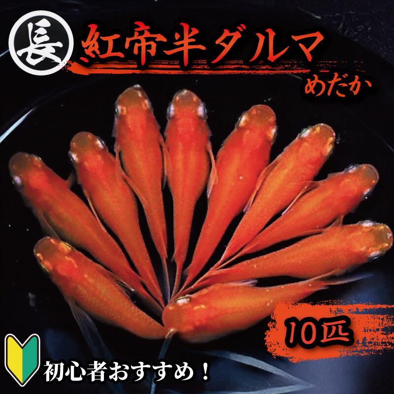 ありがとうを贈る 父の日特集