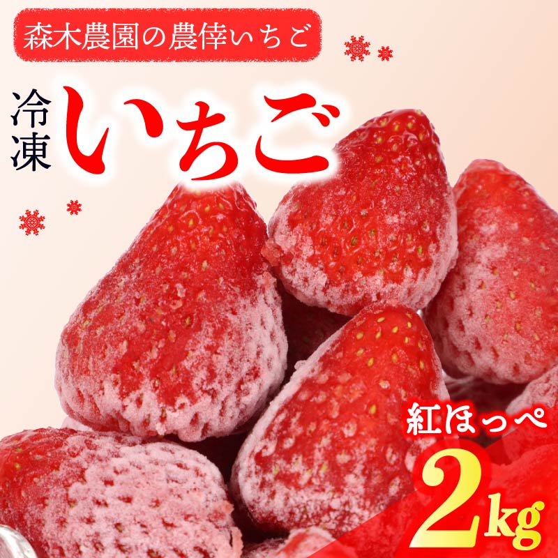 【ふるさと納税】 冷凍 いちご 苺 2kg 完熟 紅ほっぺ ヘタ取り いちご 静岡 限定 苺 冷凍いちご 果物 スイーツ いちご 紅ほっぺ 牧之原市 デザート フルーツ スイーツ アイス ジャム シャーベット ベリー 氷菓 冷凍 甘い オススメ ギフト 人気 紅ほっぺ 牧之原市 森木農園画像