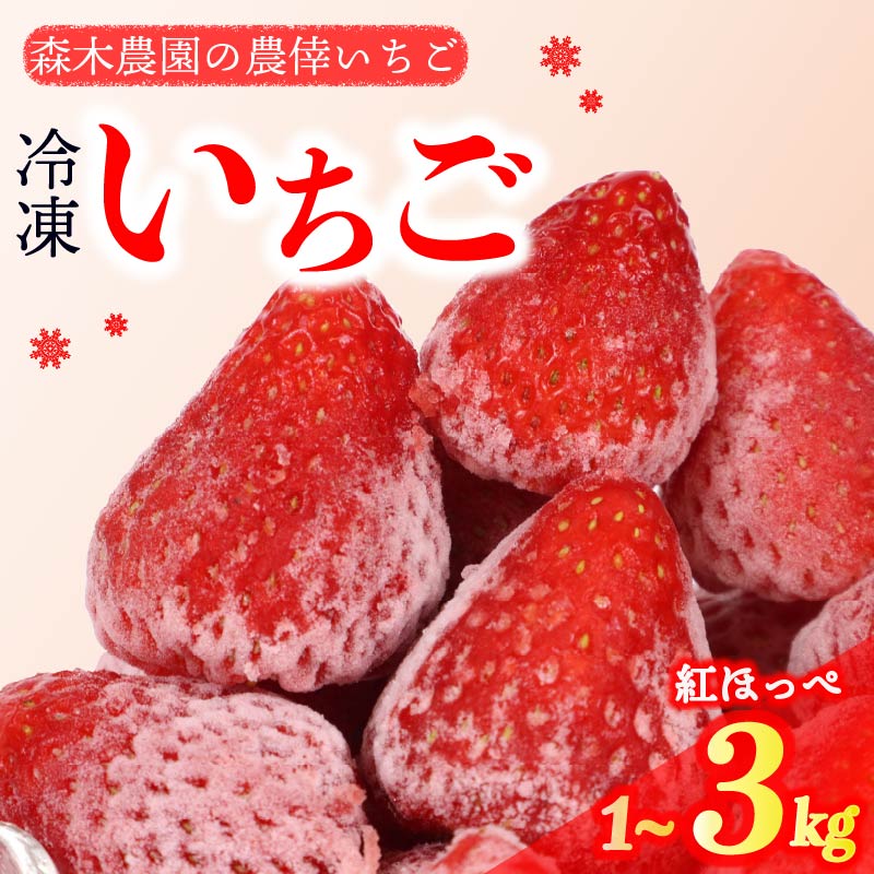 楽天市場】【ふるさと納税】陽一郎園の完熟冷凍いちご 2.7kg【令
