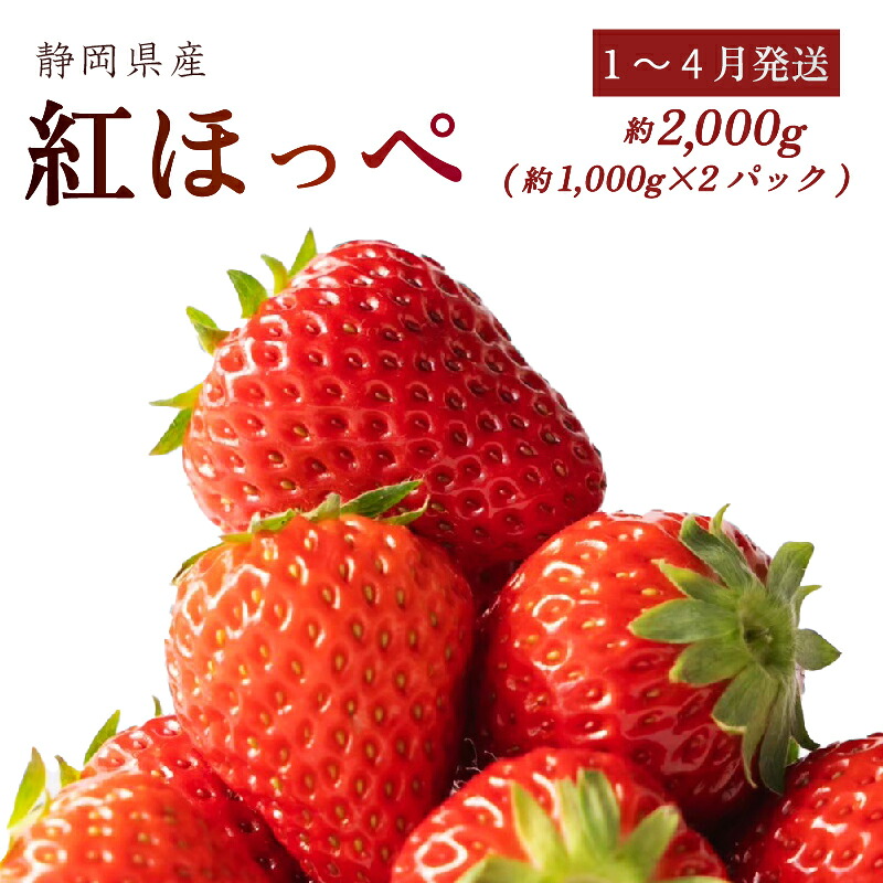 楽天市場】【ふるさと納税】 高級 紅白 いちご 直詰め セット 白いちご