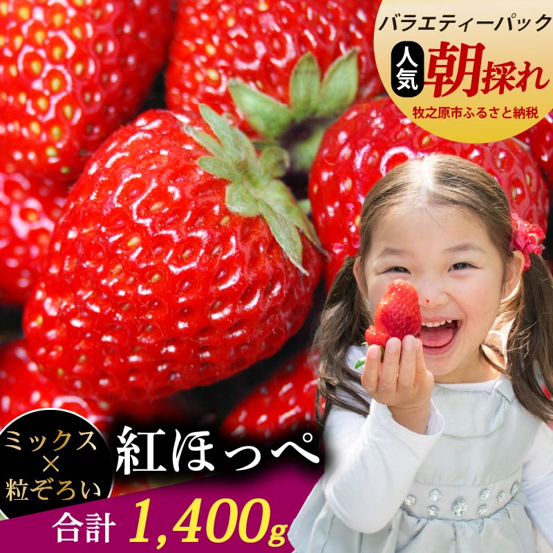 楽天市場】【ふるさと納税】 【発送月が選べる】 紅ほっぺ 大粒 660g