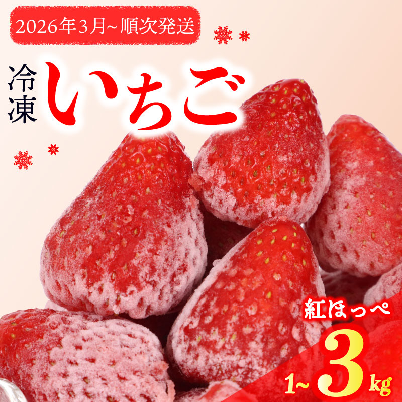 【ふるさと納税】 冷凍いちご 1〜3kg 完熟 紅ほっぺ 選べる ヘタ取り 静岡 限定 苺 果物 スイーツ デザート フルーツ アイス ジャム シャーベット ベリー 氷菓 冷凍フルーツ 甘い おすすめ ギフト 人気 森木農園 産地直送 旬 季節 牧之原市 静岡県画像