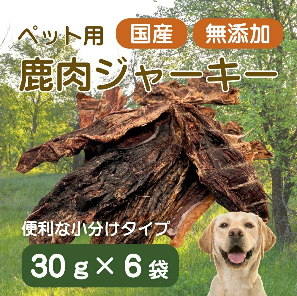 ＼徹底明らかにする／ふるさと納税 旅する券・一時滞在券の役立つこと御引き回し 静岡県東伊豆町