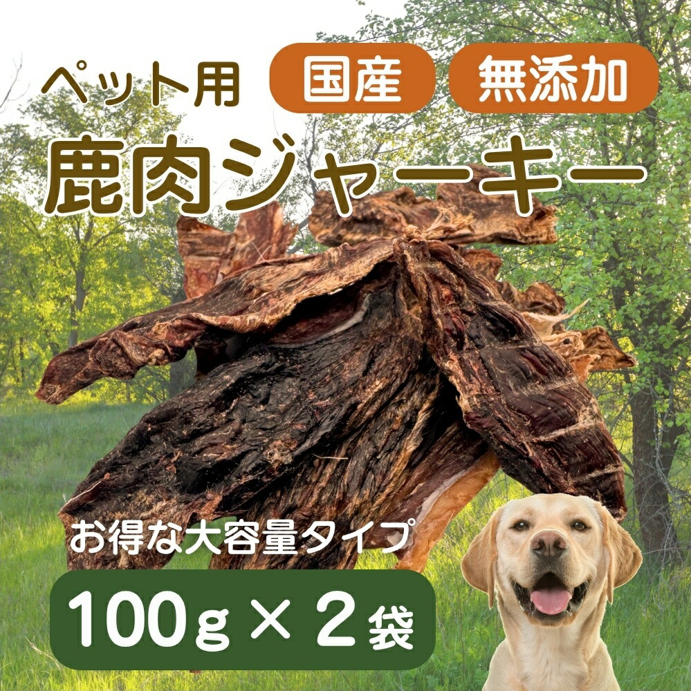 ＼徹底明らかにする／ふるさと納税 旅する券・一時滞在券の役立つこと御引き回し 静岡県東伊豆町