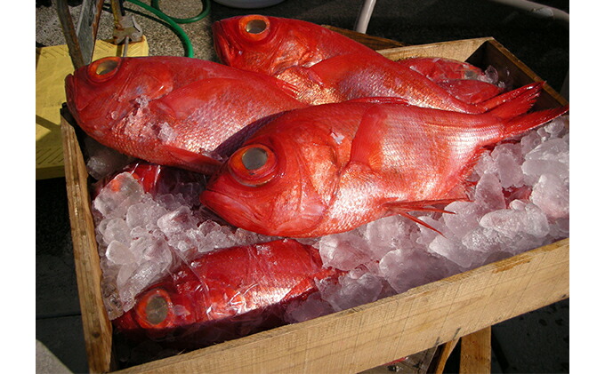 ふるさと納税 伊豆直送 金目タイ おつ噌漬6いちず 煮付4切 干物 扇動テーション5テール エボ鯛5尾 イカ 暮夜干2尾詰め合わせ B2 金目鯛 干物 アジ 銀鱗貝 イカ Marchesoni Com Br