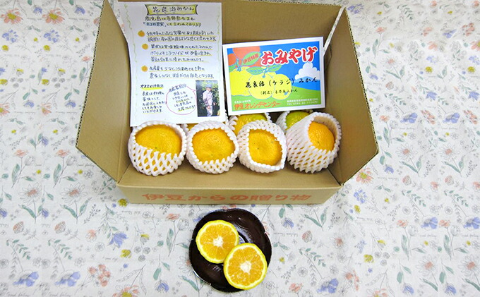 ふるさと納税 幻の果実 花良治 ケラジ みかん 約1 3kg 果物類 柑橘類 みかん フルーツ ミカン 約1 3kg お届け 21年12月下旬 22年1月初旬 Umu Ac Ug