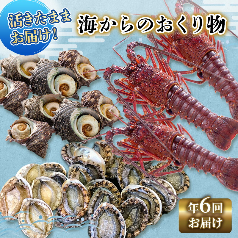 楽天市場】【ふるさと納税】伊豆の味 かねた水産自慢の地きんめ鯛の姿煮、味噌漬け、ひものセット 魚貝類 金目鯛 漬魚 味噌漬け 干物 アジ きんめ鯛の姿煮  : 静岡県河津町