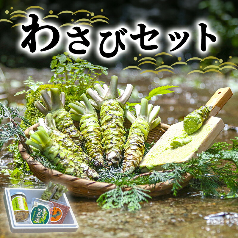【ふるさと納税】わさび セット さくら 伊豆わさび食品直送 生わさび 2本 手作り わさび漬け 天城の春 三杯酢漬け わさびみそ 伊豆 ワサビ 茎 加工品 加工食品 薬味 詰め合わせ 静岡 調味料　 河津町