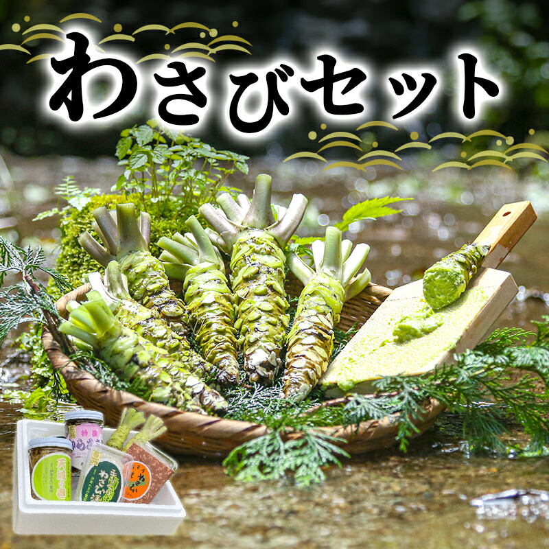 【ふるさと納税】とれたて わさび セット 滝 生産者直送 生わさび 2本 手作り わさび漬け 天城の春 三杯酢漬け わさびみそ むらさき漬 醤油漬け 伊豆 ワサビ 茎 加工品 加工食品 薬味 詰め合わせ 静岡 調味料　 河津町