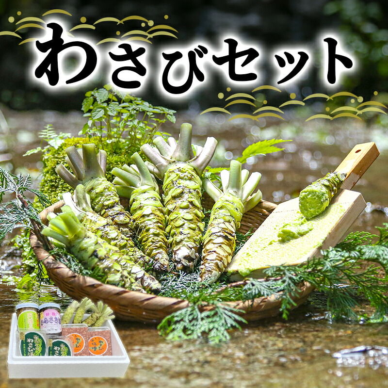 【ふるさと納税】とれたて わさび セット 池 伊豆わさび食品直送 生わさび 4本 手作り わさび漬け 天城の春 三杯酢漬け わさびみそ むらさき漬 醤油漬け 伊豆 ワサビ 茎 加工品 加工食品 薬味 詰め合わせ 静岡 調味料　 河津町
