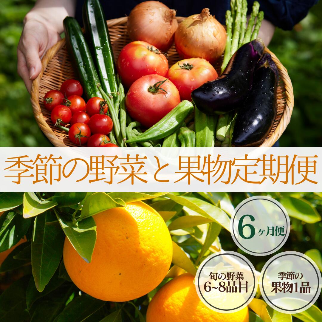 【ふるさと納税】楽天限定 季節の野菜と果物定期便 6ヶ月 7～9品 野菜 果物 フルーツセット 大容量 大満足 レシピ付き 旬 フルーツ 定期便 お楽しみ 詰め合わせ 春 夏 秋 冬 おまかせ ギフト セット 新鮮 やさい 産地直送 直売所 伊豆 南伊豆町 送料無料 湯の花