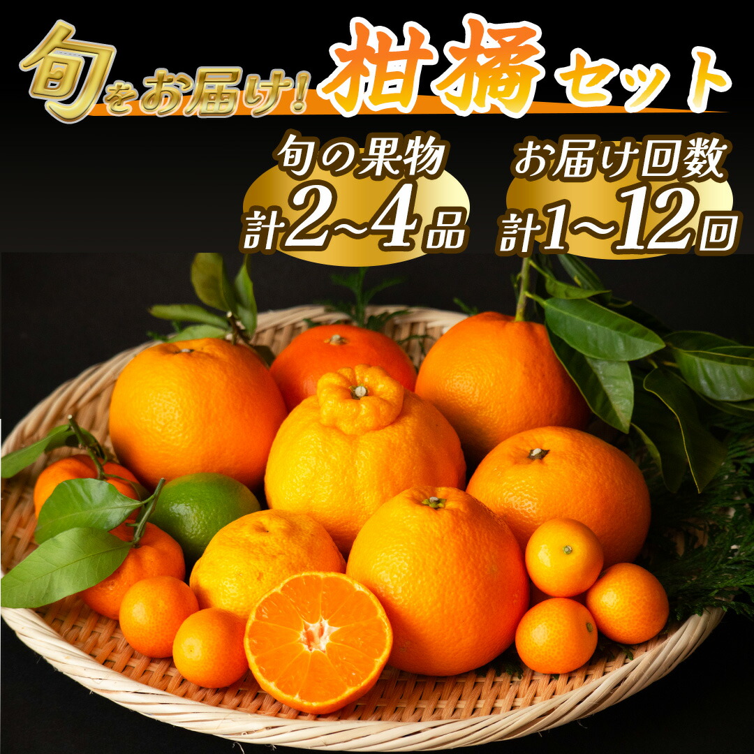 【ふるさと納税】人気 フルーツ お楽しみ 大満足 みかん 不知火 ポンカン はるみ デコポン 清見 甘夏 福原オレンジ ニューサマーオレンジ ハウスみかん ブドウ 温州ミカン 柿 青島 湯の花　旬のフルーツセット