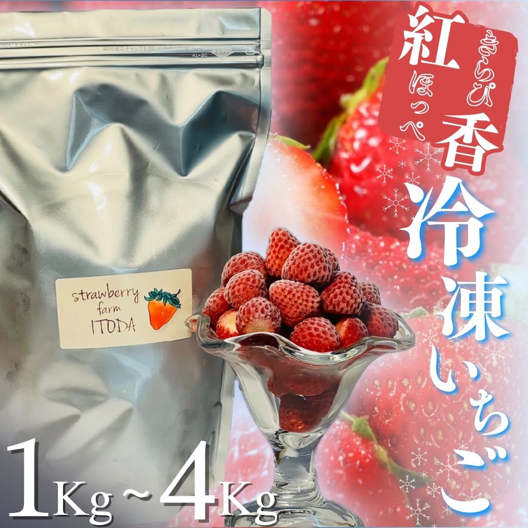 【ふるさと納税】 冷凍イチゴ 大人気 1kg 2kg 3kg 4kg 苺 いちご イチゴ 国産 完熟 甘い スムージー ジャム ヨーグルト 一口サイズ  紅ほっぺ きらぴ香 苺 果物 フルーツ 静岡 南伊豆  冷凍 いちご 地元JA品評会金賞受賞