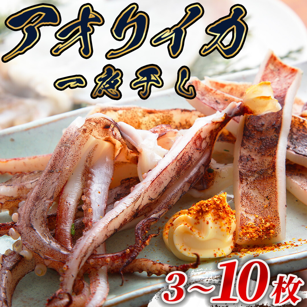 【ふるさと納税】 伊豆漁協加工・直送！ アオリイカ 一夜干し イカ イカ一夜干し ゲソ つまみ おつまみ 新鮮 冷凍 直送 美味い おすすめ 水イカ 14,630円