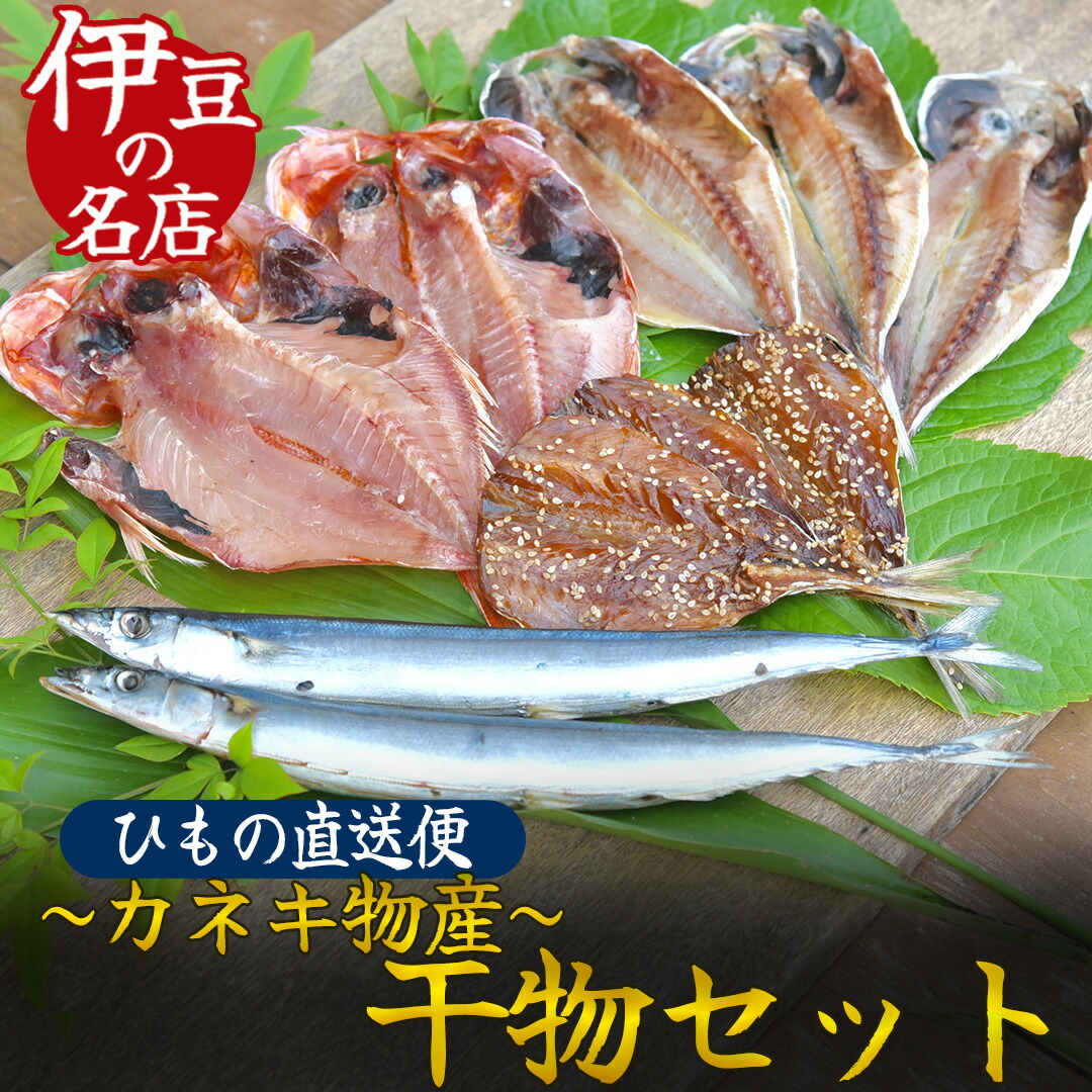 【ふるさと納税】干物 5種 10点 セット ひもの 干物 カネキ物産 詰め合わせ 手作り 天日干し うまい 美味い 無添加 無着色 お中元 お歳暮 ギフト 金目鯛 キンメダイ かます アジ キビナゴ 簡単 送料無料 冷凍 静岡 ひもの詰め合わせセット|静岡県南伊豆町