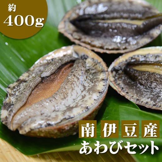 最大59 Offクーポン あわび アワビ 鮑 400g 天然 活 魚介 海産 海鮮 産地直送 q バーベキュー 送料無料 伊豆 静岡 臼竹商店 あわびセット Fucoa Cl