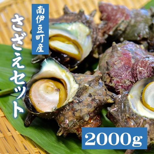 さざえ サザエ 00g 天然 活 魚介 海産 海鮮 産地直送 q バーベキュー 送料無料 伊豆 静岡 臼竹商店 さざえセット 総合福袋