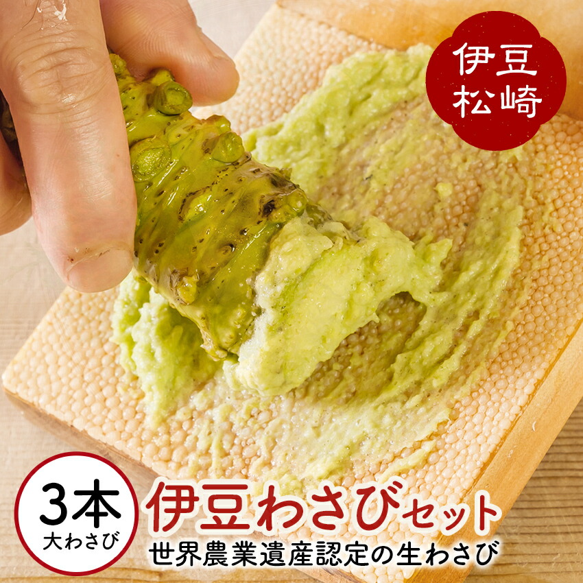 【ふるさと納税】伊豆のわさびセットＦ わさび セット wasabi 生わさび 世界農業遺産 山葵 ギフト 通販