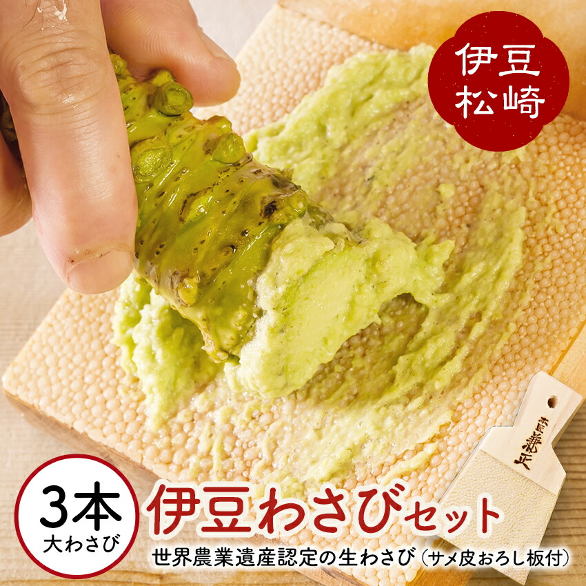 【ふるさと納税】伊豆のわさびセットＧ  わさび セット おろし板 wasabi 生わさび 世界農業遺産 山葵 ギフト 通販