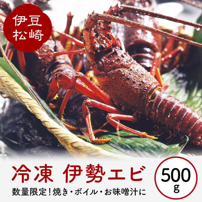 【ふるさと納税】冷凍 伊勢海老 500g