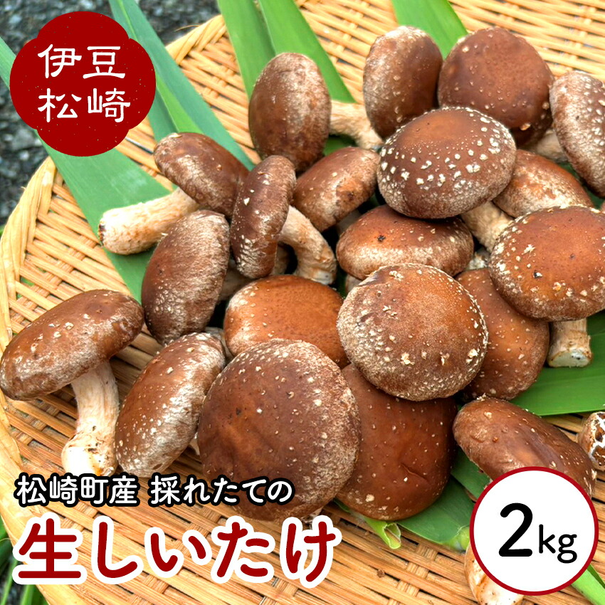 【ふるさと納税】森ペンしいたけ 2kg