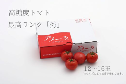 【ふるさと納税】アメーラトマト秀 1箱 | トマト とまと アメーラトマト アメーラ フルーツトマト 野菜 食品 最高品質 高濃度トマト 秀品 フルーツロジスティ 金賞受賞 S（15～16玉）または、M（12～13玉）サイズ ケース 箱 お取り寄せ 静岡県 小山町 送料無料