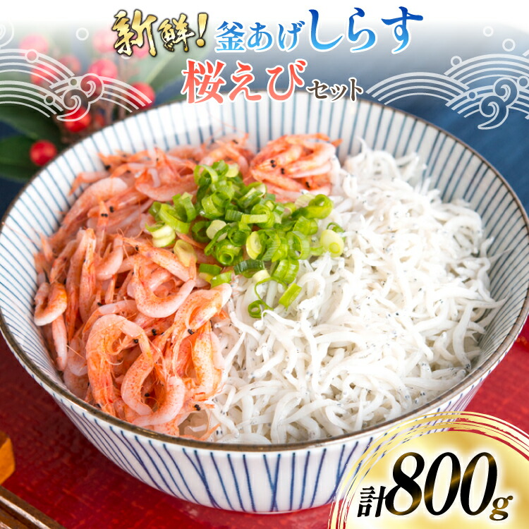 【ふるさと納税】 【明治神宮奉献品！】 釜揚げしらす 500g 釜揚げ桜えび 300g [丸三水産 静岡県 吉田町 22424486] シラス しらす 釜揚げシラス 桜エビ サクラエビ 桜海老 駿河湾