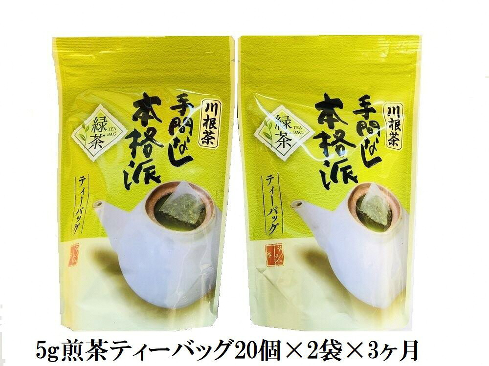 【ふるさと納税】定期便 お茶 静岡 ティーバッグ 20個入×2袋×3ヶ月連続 / 本格茶葉の手間なしティーバッグ120個 | ふるさと納税 ふるさと 静岡県 川根本町 静岡茶 川根茶 煎茶 ティーバッグ 定期便 送料無料|静岡県川根本町