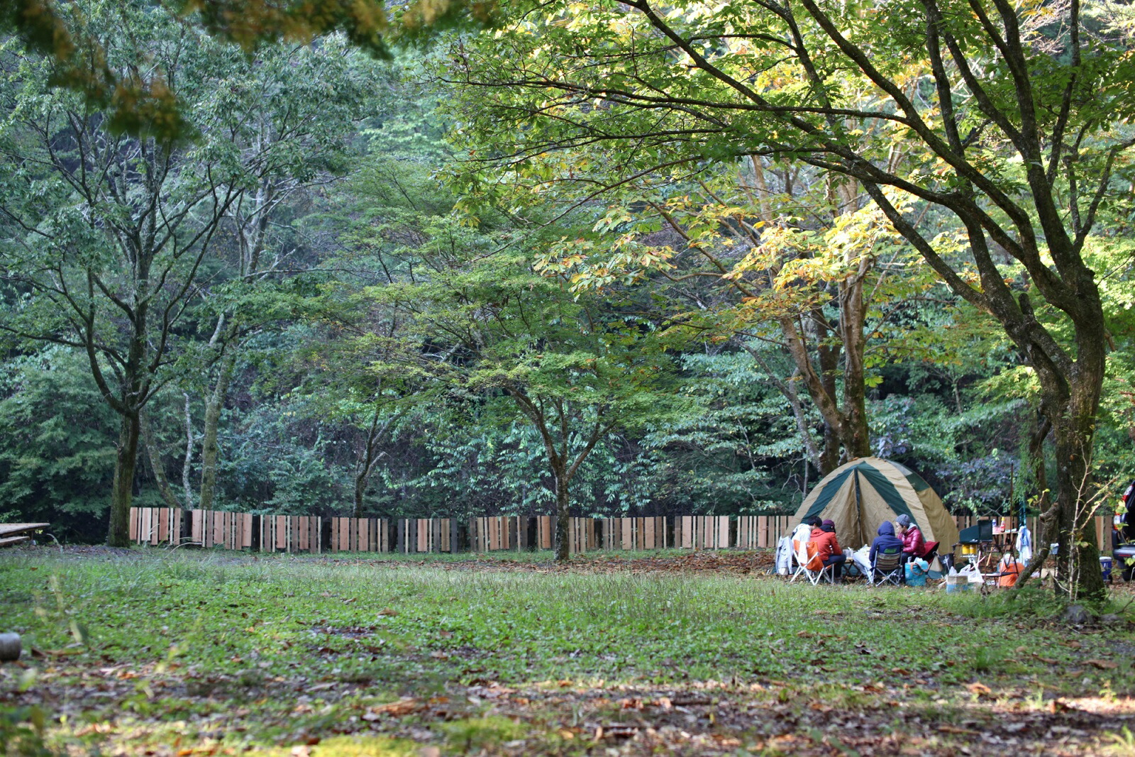 2020正規激安 キャンプ 宿泊 チケット 2名 不動の滝自然広場オートキャンプ場 静岡県川根本町 最新人気 Greenwoodcity Com Pk
