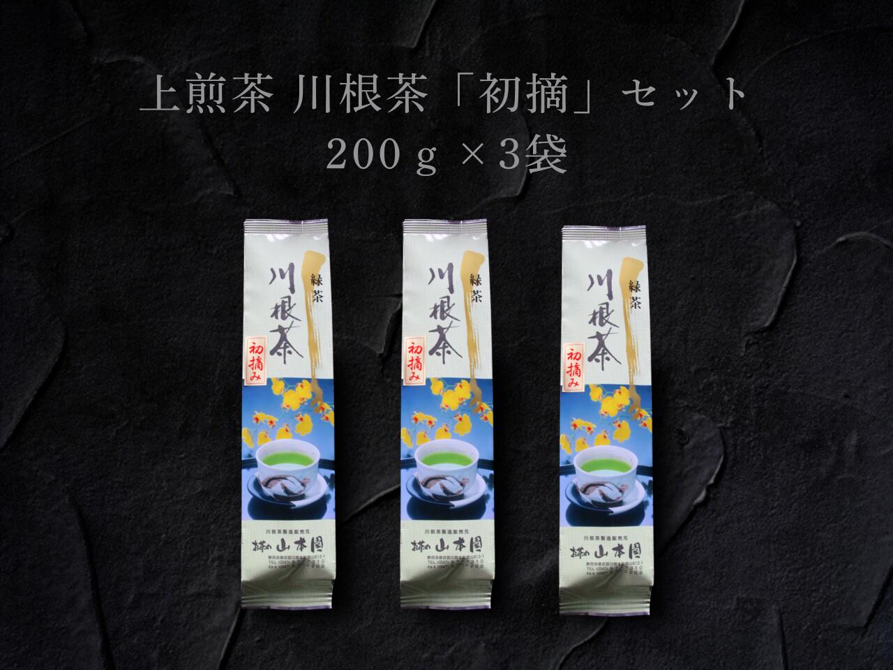 【ふるさと納税】上煎茶　川根茶「初摘」セット 200ｇ×3袋