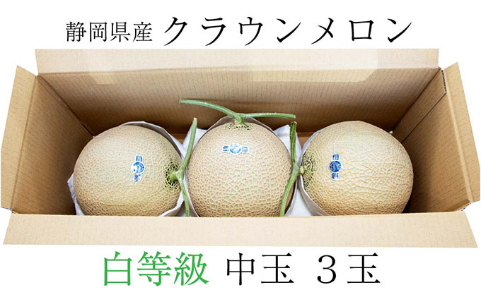 本命ギフト さとふるふるさと納税 森町 2023年1月発送開始 定期便 クラウンメロン大玉白等級5玉全12回 erotikfilmen.com
