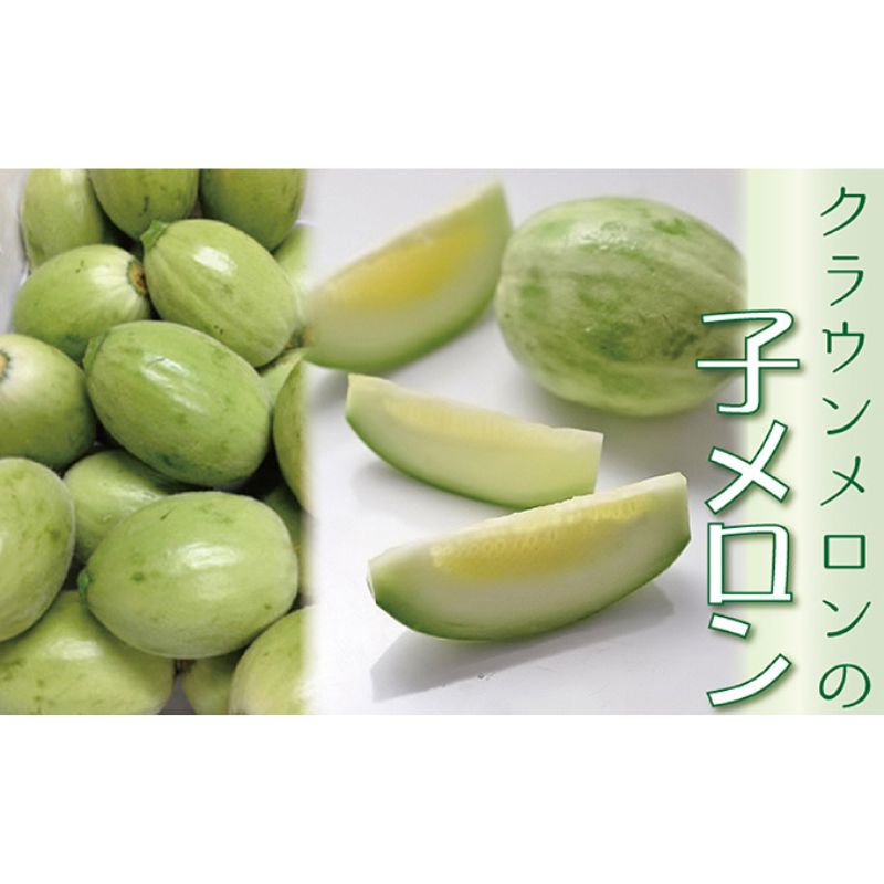 【ふるさと納税】漬物にして美味しい！クラウンメロンの『子メロン』約４Kg 果物類 メロン青肉 ｜静岡県森町 8,880円