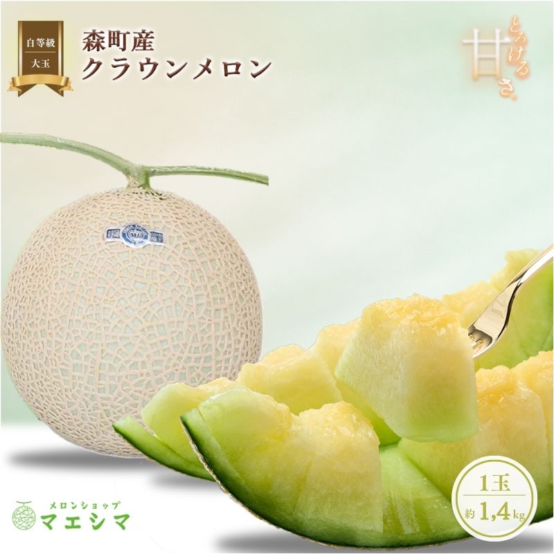 日大藤沢 ユニフォーム L 【公式通販】