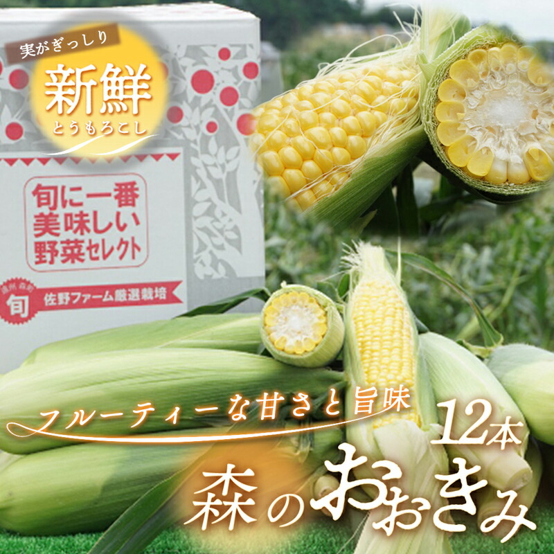 【ふるさと納税】【実がぎっしり大きい！新鮮！朝どれとうもろこし】森のおおきみ12本 野菜 JGAP認証 しずおか認証取得農場 　お届け：2025年6月15日～7月5日