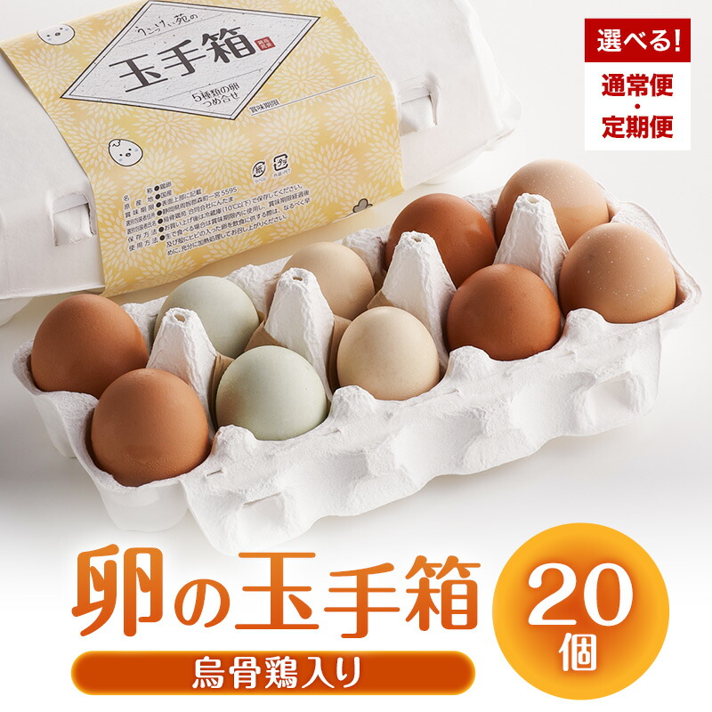 【ふるさと納税】卵の玉手箱（烏骨鶏入り）10個×2パック 選べる回数 天然記念物 美味しい 濃厚 甘み 臭み ゆで卵 生卵 卵かけごはん 日本三大地鶏 名古屋コーチン 赤卵 有精卵 10,640円