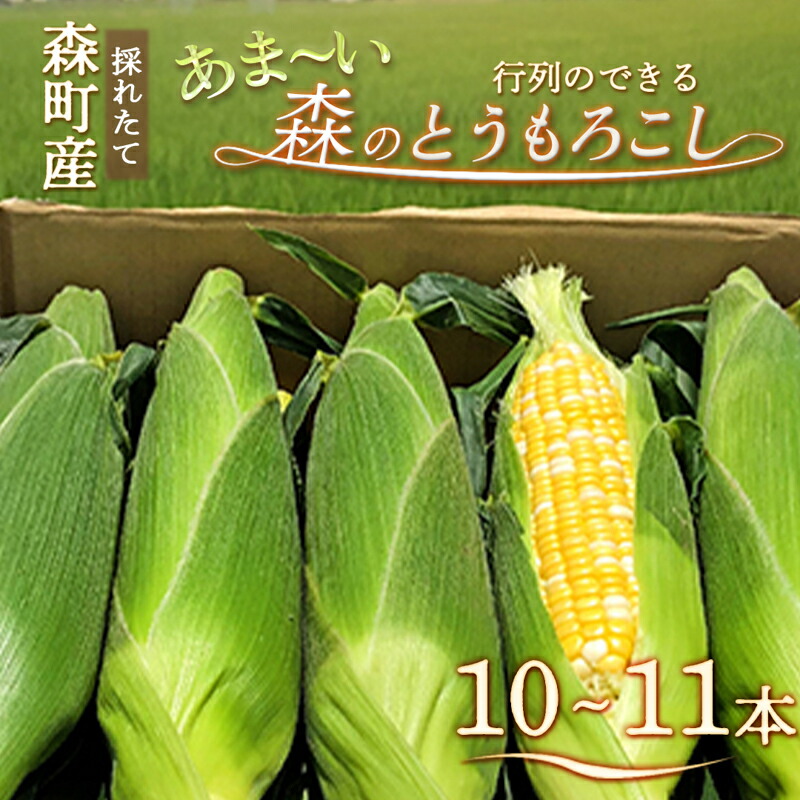 いみる！　静岡県遠州森のとうもろこし20本 朝採り 産地直送 いみる様専用！ 静岡県遠州森のとうもろこし20本 朝採り 産地